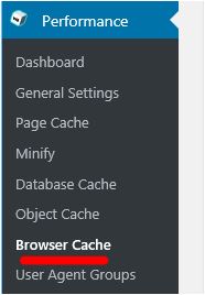 Menu - Performance - Browser Cache