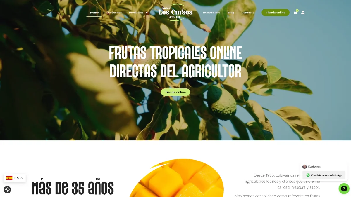 Frutas Los Cursos